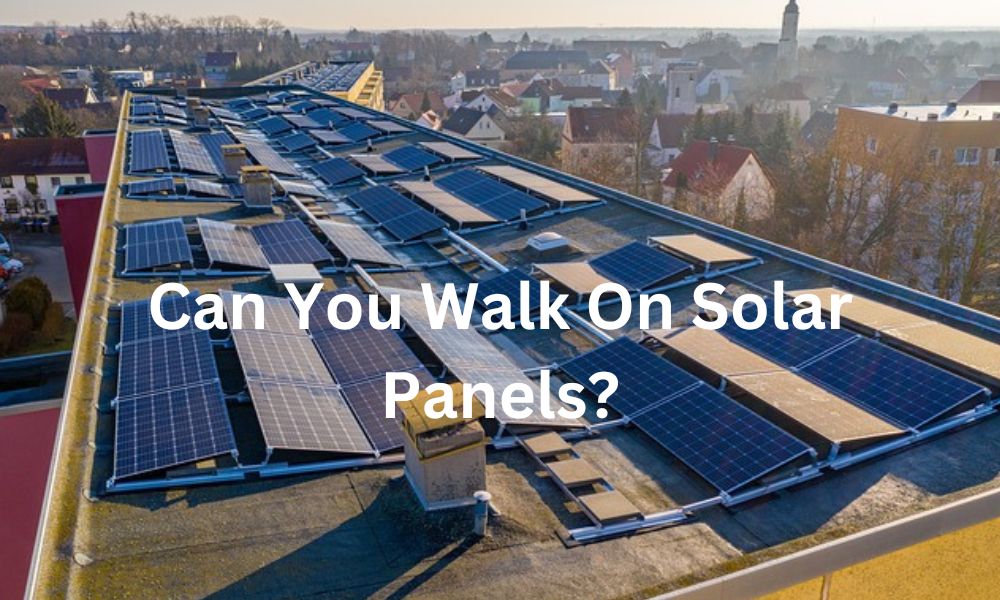 Can You Walk On Solar Panels 2024?