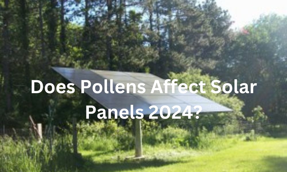 Does Pollens Affect Solar Panels 2024?